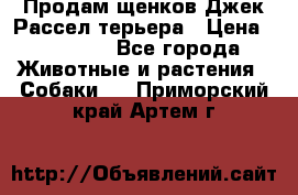 Продам щенков Джек Рассел терьера › Цена ­ 25 000 - Все города Животные и растения » Собаки   . Приморский край,Артем г.